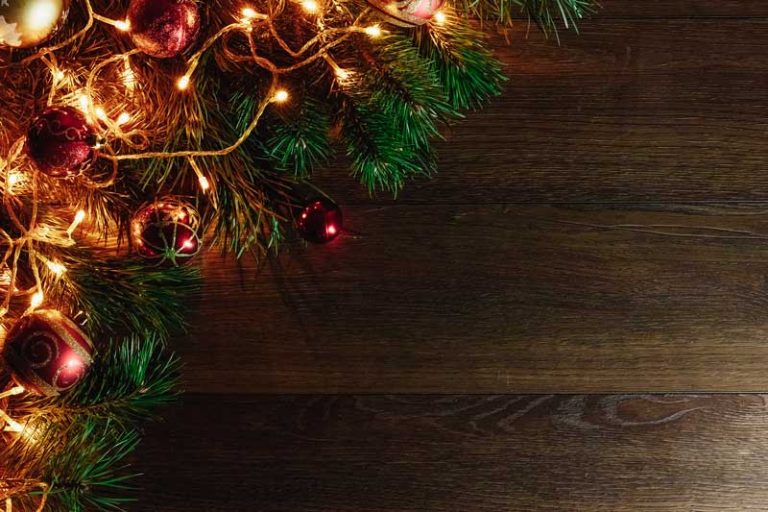 5 Reasons to Hire a Professional for Your Holiday Lighting